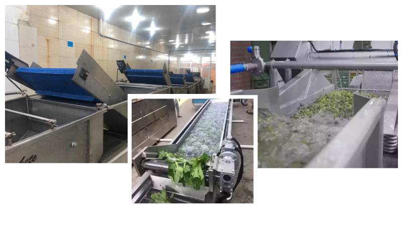 راه اندازی خط شستشوی سبزیجات صنعتی