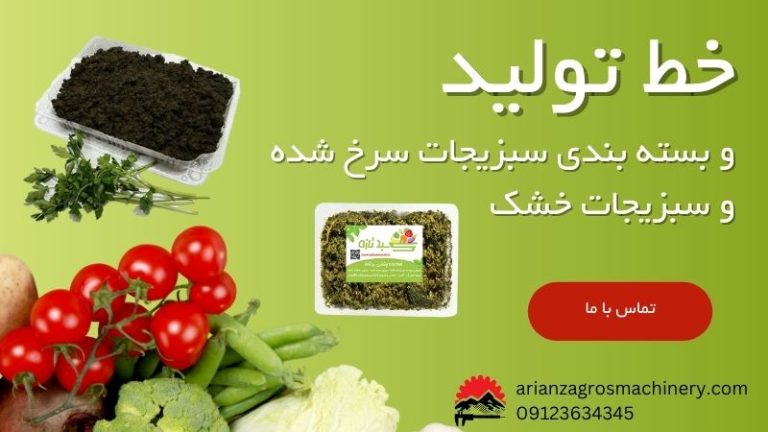 خط-تولید-سبزی-سرخ-شده-خط-تولید-سبزیجات-پخته-شده