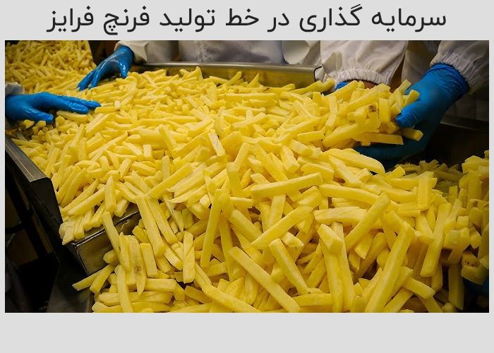 سرمایه گذاری در خط تولید فرنچ فر