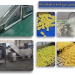 خط تولید سیب زمینی سرخ کرده با ظرفیت بالا