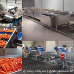 خط شستشوی هویج صنعتی | خط بسته بندی هویج تازه | شستشو سبزیجات ریشه‌ای