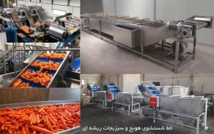 خط شستشوی هویج صنعتی | خط بسته بندی هویج تازه | شستشو سبزیجات ریشه‌ای