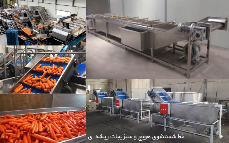 خط شستشوی هویج | خط بسته بندی هویج | خط شستشو سبزیجات ریشه ای