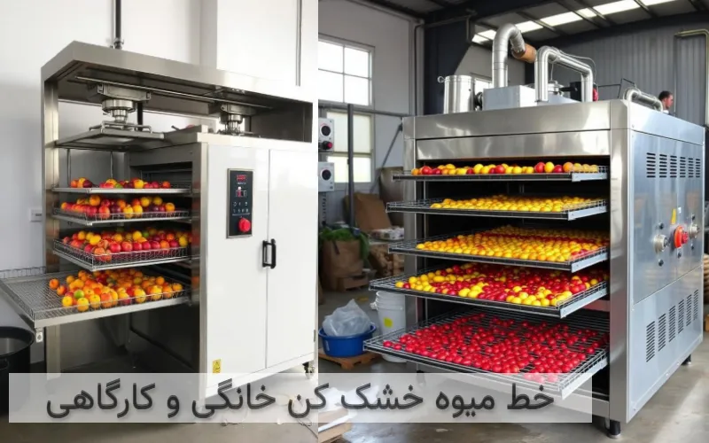 قیمت دستگاه میوه خشک کن