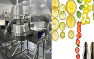 قیمت دستگاه اسلایسر صنعتی میوه خشک