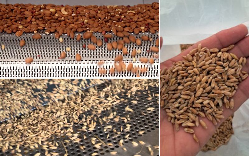 بوجاری چیست؟ انواع بوجاری