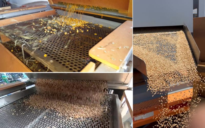 بوجاری گندم بوجاری برنج بوجاری حبوبات بوجاری غلات