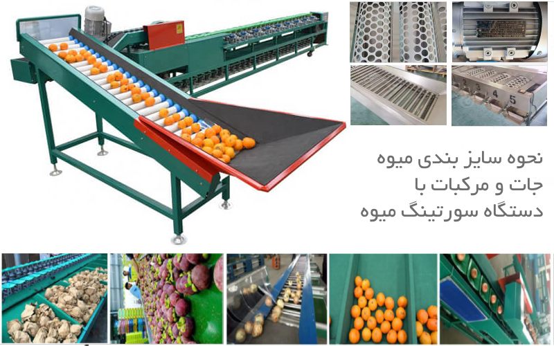 نحوه سایز بندی میوه جات و مرکبات با دستگاه سورتینگ میوه
