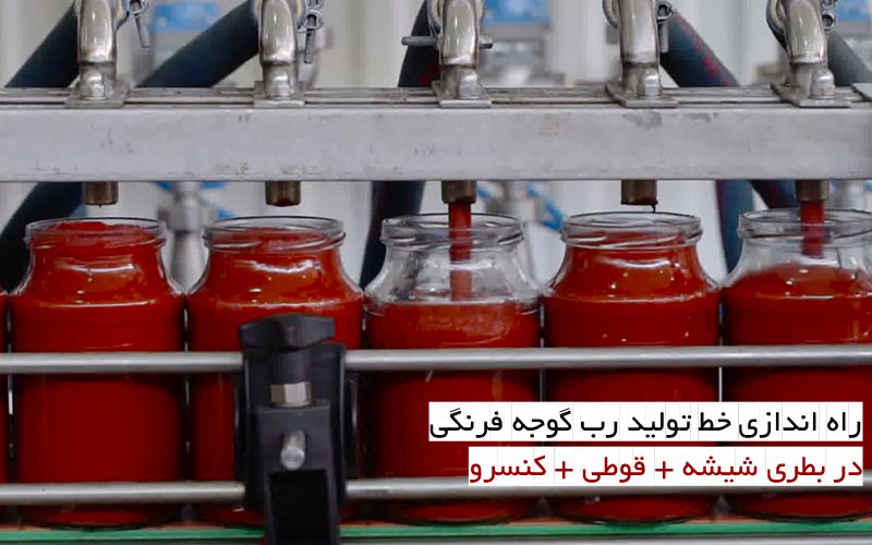 راه اندازی خط تولید رب گوجه فرنگی