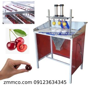 دستگاه هسته گیر آلبالو صنعتی تمام اتوماتیک استیل