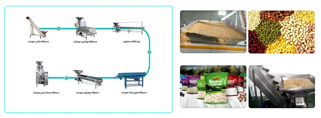 سود بسته بندی حبوبات خشکبار و غلات